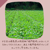 鳴門金時 太陽のほしいも150g やわらかめスティックタイプ やま里 【干し芋 干しいも 子ども こども おやつ 安心 安全 国産 添加物不使用】
